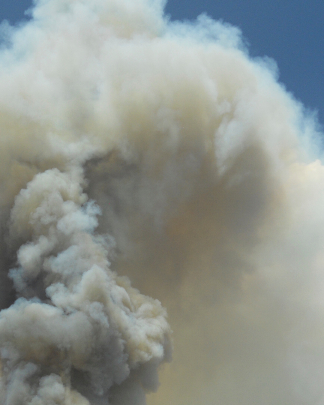 smoke pic